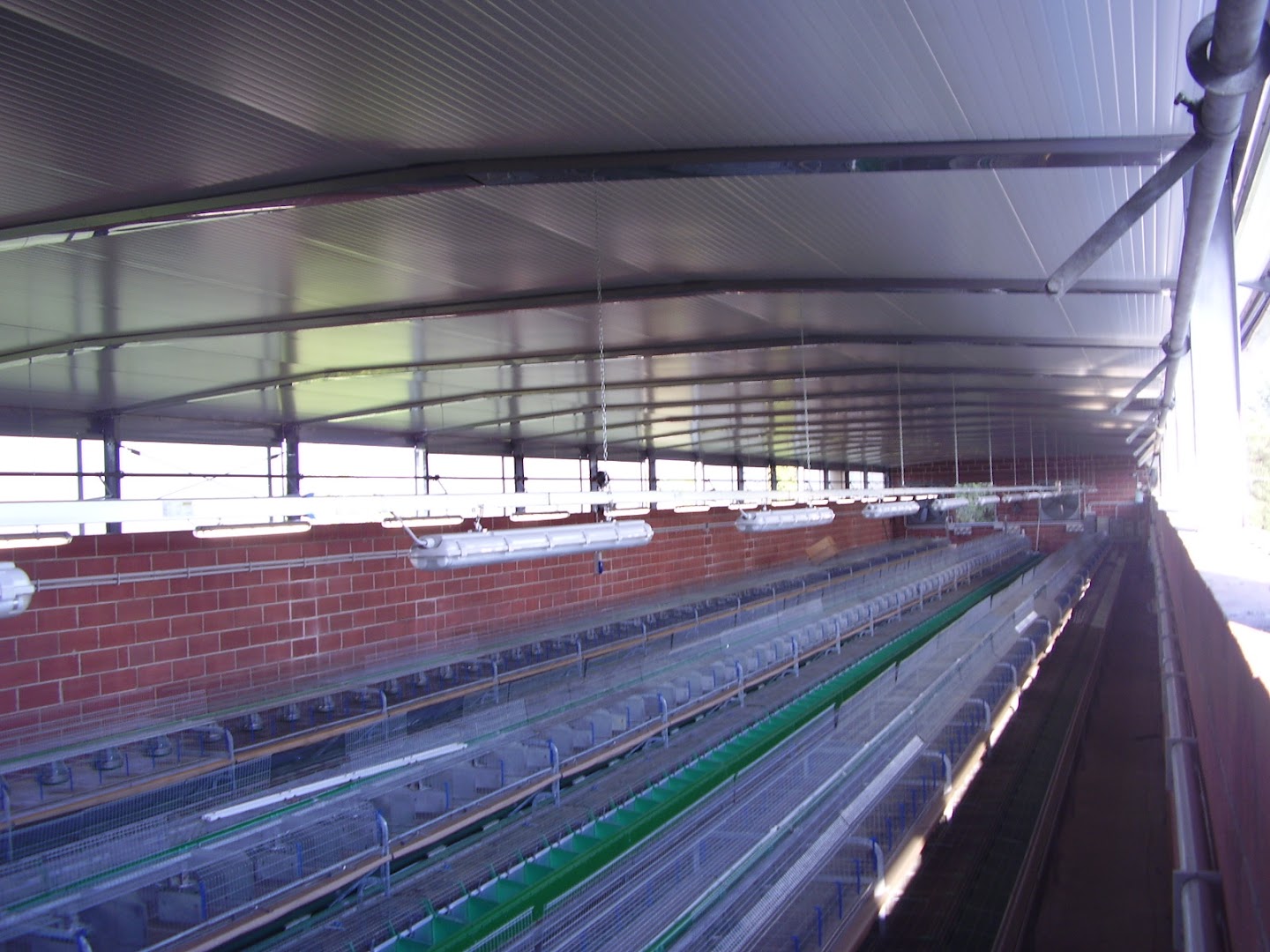 Castellan Giovanni srl — Foto 6